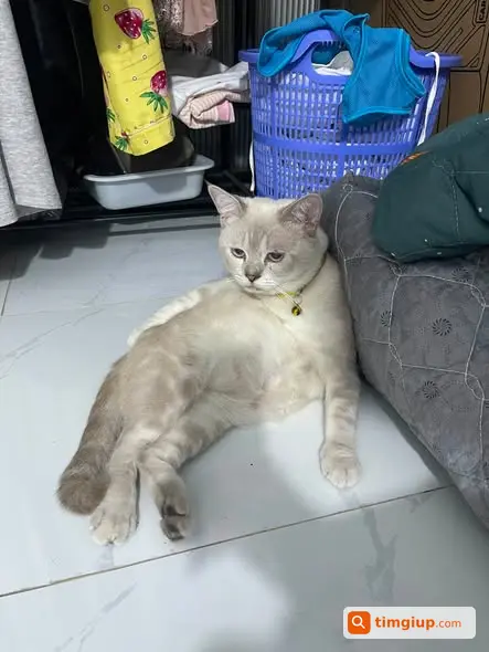 Ảnh 5