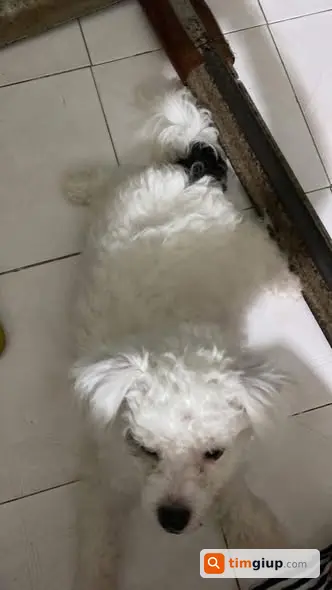 Ảnh 5