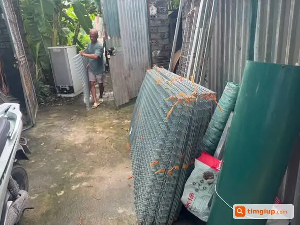 Ảnh 5