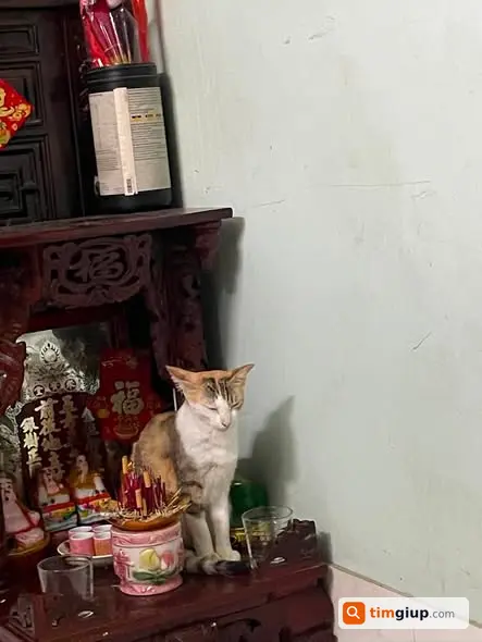 Ảnh 2