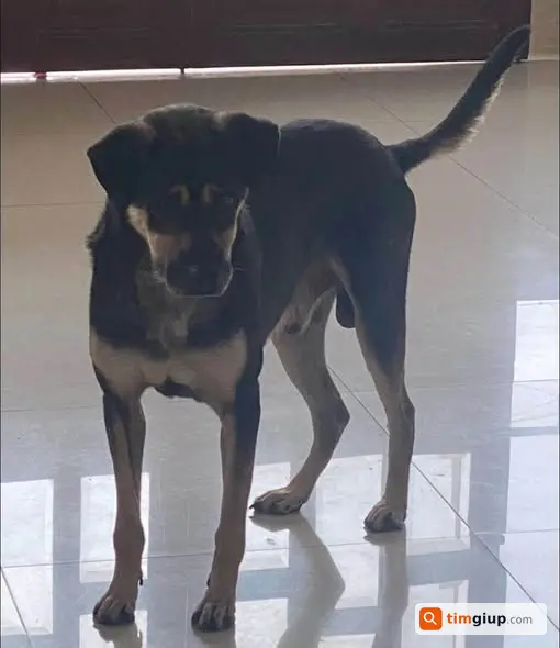 Ảnh 3