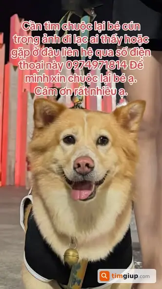 Ảnh 5