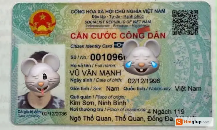 Ảnh 1