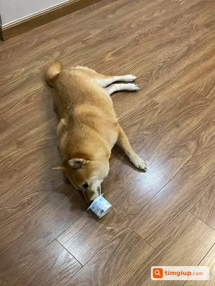 Ảnh 5