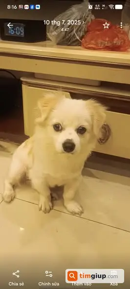 Ảnh 3