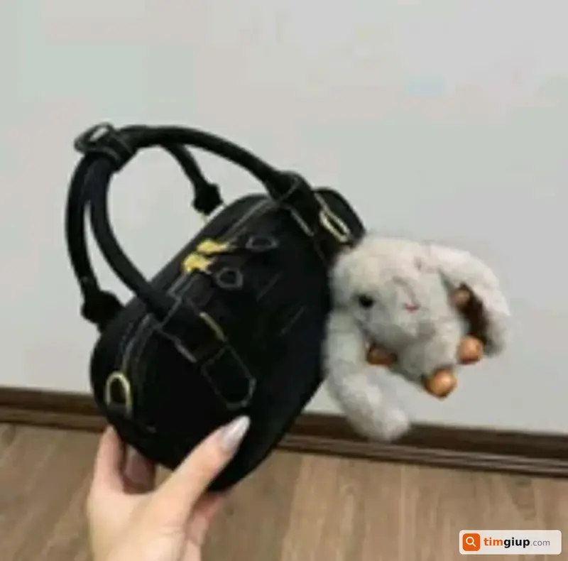 Tìm túi xách màu đen của chị Trần Thị Thùy Linh tại Hà Nội