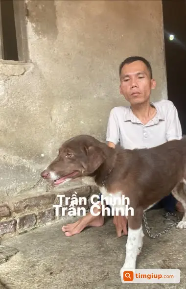 Ảnh 5
