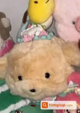 Ảnh 2