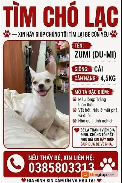 Tìm chó thất lạc mất tích gần ngõ 464 Âu Cơ, Tây Hồ