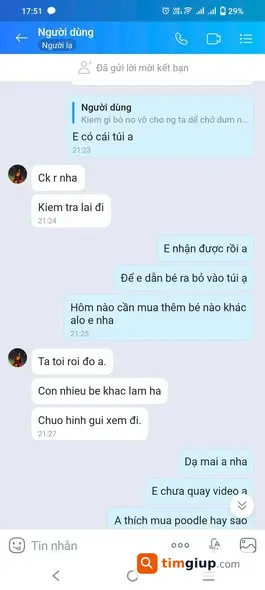 Ảnh 3