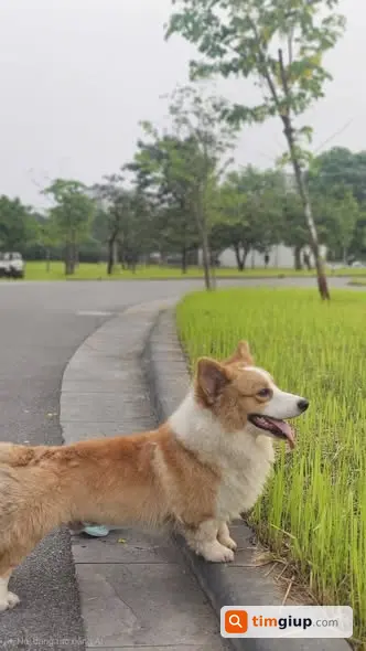 Ảnh 2