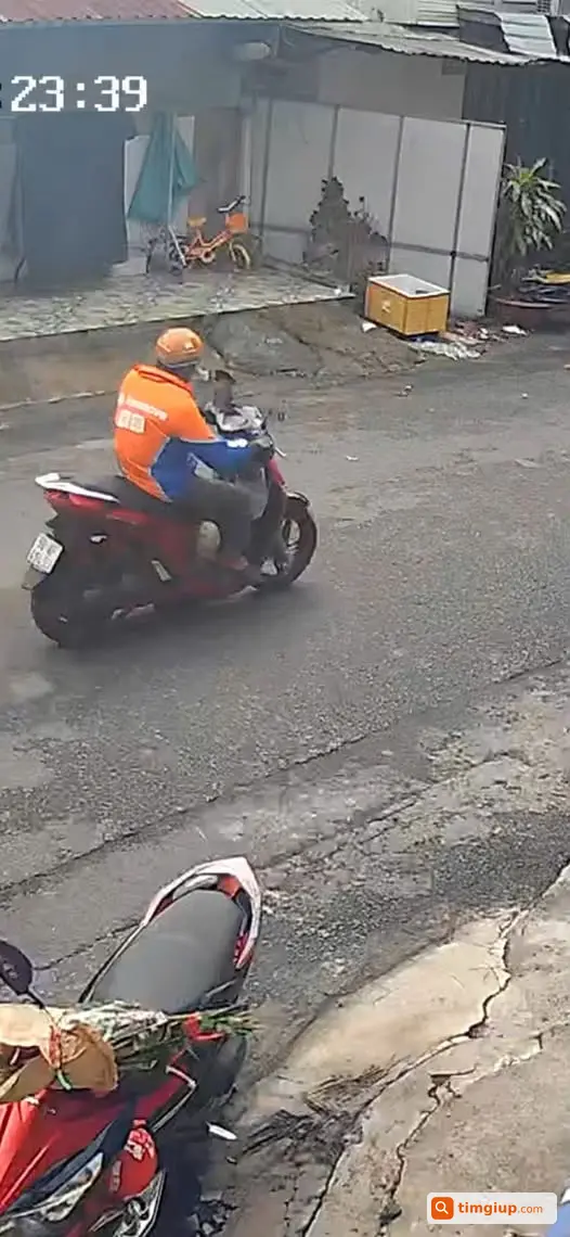Chó Lông Trắng Bị Giao Hàng Mang Đi Tại Linh Xuân, Thủ Đức