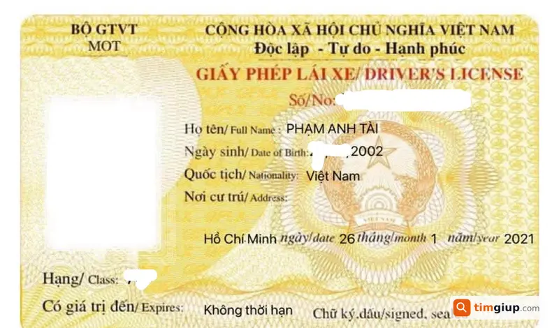 Ảnh 1