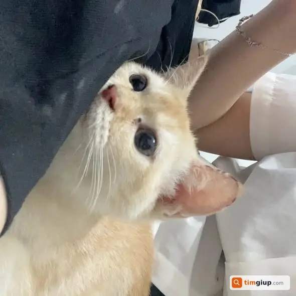 Ảnh 3