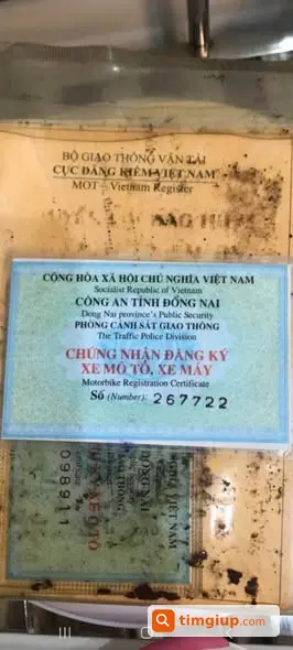 Ảnh 2