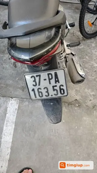 Ảnh 3