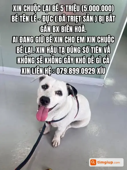 Bé Lê Bị Bắt Gần Bến Xe Biên Hòa, Xin Chuộc Lại 5 Triệu
