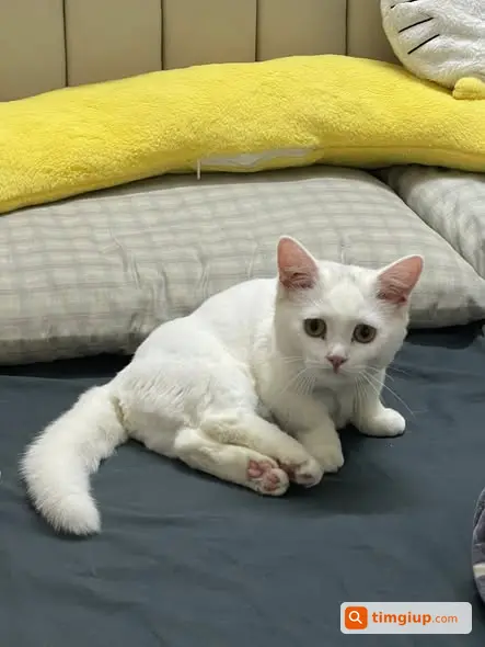 Ảnh 5