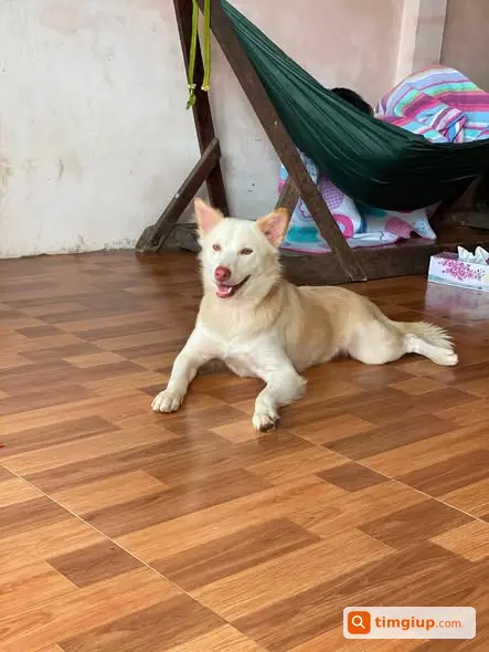 Ảnh 2