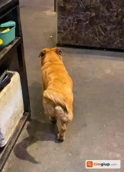 Ảnh 2