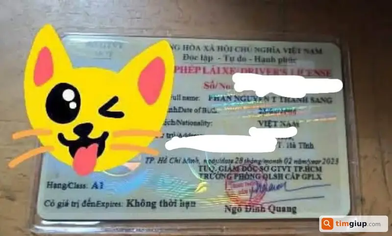 Tìm bằng lái xe A1 tên Phan Nguyễn Thị Thanh Sang tại TP.HCM