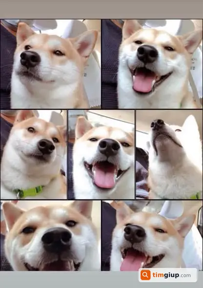 Ảnh 2